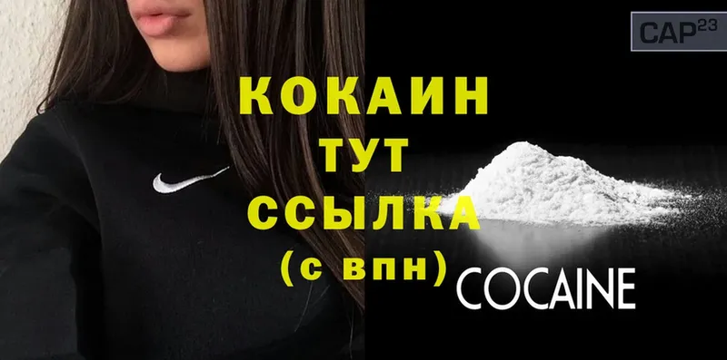 Cocaine Fish Scale  кракен как зайти  Высоцк  даркнет сайт 